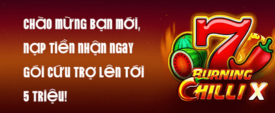 Chào Mừng Tân Thủ 100%